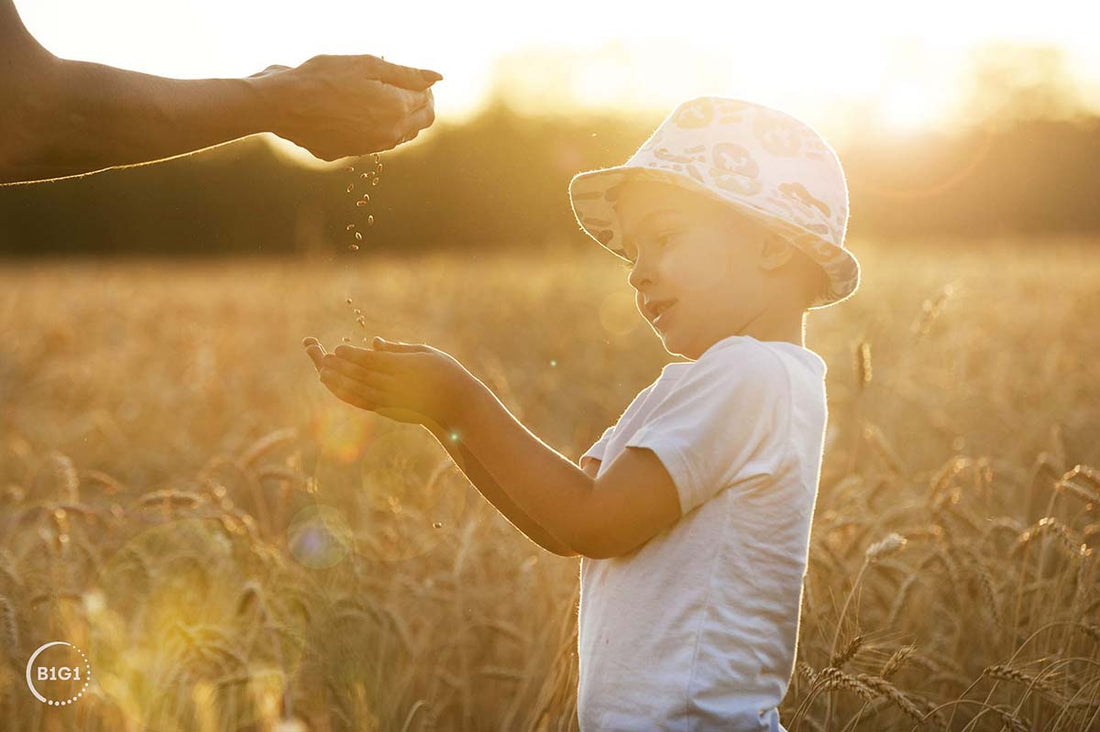 How Your Diary Purchase Creates Waves of Global Change